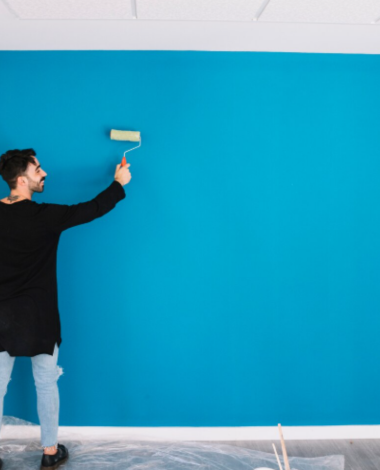 Wall Finishes (Paint, Wallpaper, Texture)